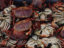 Five foodie facts about East Anglia
